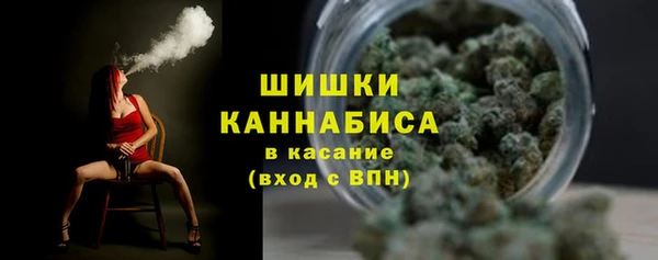 твердый Анива