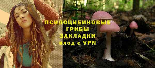 прущие грибы Бугульма