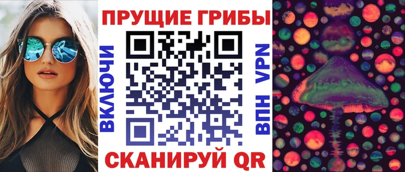 Псилоцибиновые грибы мухоморы  мориарти официальный сайт  Венёв 